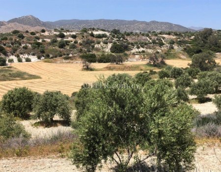 Enormous land (32615 sq. m.) for sale in Monagrouli area - 4