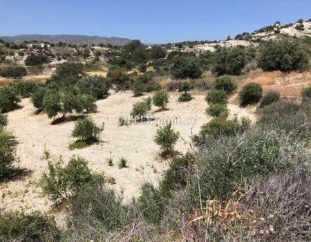 Enormous land (32615 sq. m.) for sale in Monagrouli area - 2
