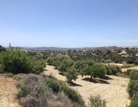 Enormous land (32615 sq. m.) for sale in Monagrouli area - 3