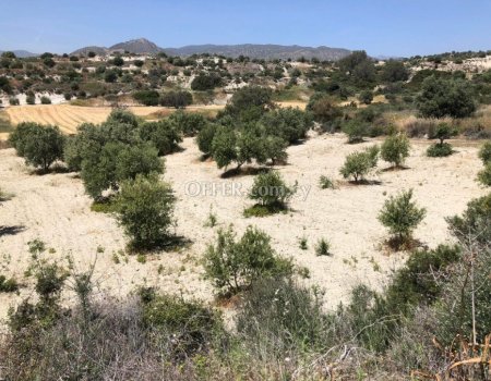 Enormous land (32615 sq. m.) for sale in Monagrouli area - 5