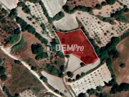 Residential Land  For Sale in Stroumbi, Paphos - DP3121 - 4
