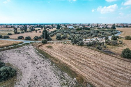 Field for Sale in Pyla, Larnaca - 4