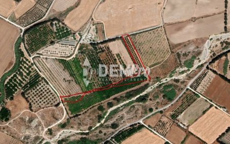 Agricultural Land For Sale in Acheleia, Paphos - DP2967