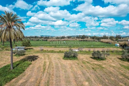 Field for Sale in Livadia, Larnaca - 4