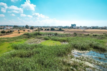 Field for Sale in Oroklini, Larnaca - 3