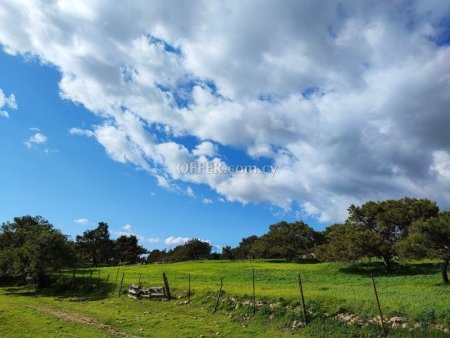 Land Parcel 14716 sm in Pissouri, Limassol