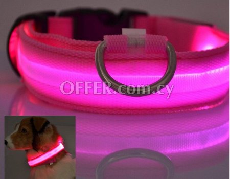 Glow in the dark led pet dog collar for night safety - Κολάρο σκυλιών LED για νυχτερινή ασφάλεια - 5