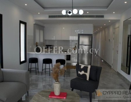 Brand New 2 Bedroom Penthouse with Rooftop Garden - 5