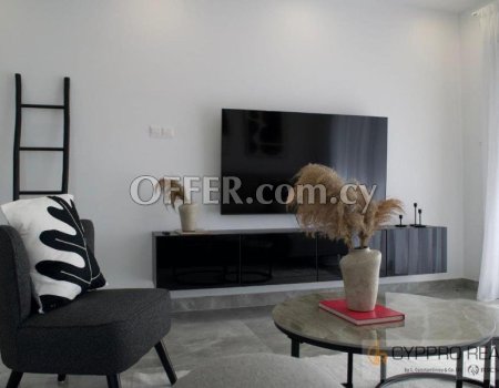 Brand New 2 Bedroom Penthouse with Rooftop Garden - 4