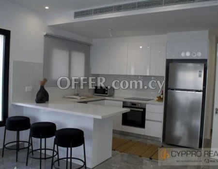 Brand New 2 Bedroom Penthouse with Rooftop Garden - 3