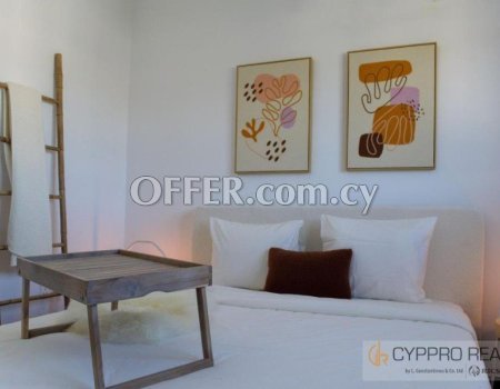 Brand New 2 Bedroom Penthouse with Rooftop Garden - 2