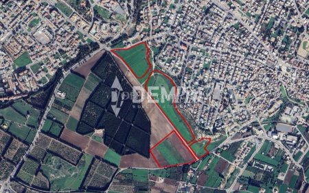 Agricultural Land For Sale in Yeroskipou, Paphos - DP3142 - 1