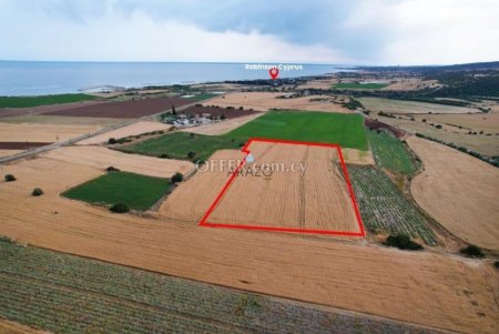 Field for Sale in Alaminos, Larnaca - 3