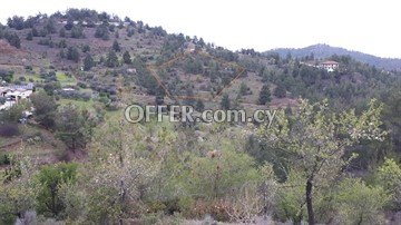House  In A Large Piece Of Land 6355 Sq.m. In Agios Epifanios Oreinis, - 1