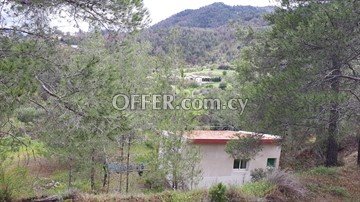 House  In A Large Piece Of Land 6355 Sq.m. In Agios Epifanios Oreinis, - 2
