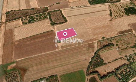 Agricultural Land For Sale in Timi, Paphos - DP3283 - 1