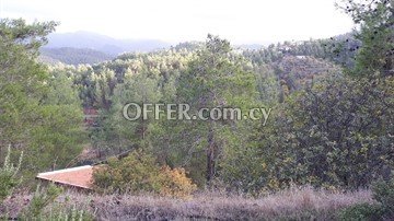 House  In A Large Piece Of Land 6355 Sq.m. In Agios Epifanios Oreinis, - 3