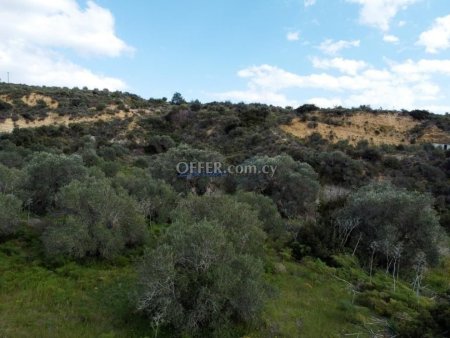 Χωραφι στο Ψεματσιμενο - 3