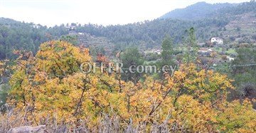 House  In A Large Piece Of Land 6355 Sq.m. In Agios Epifanios Oreinis, - 4