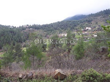 House  In A Large Piece Of Land 6355 Sq.m. In Agios Epifanios Oreinis, - 5