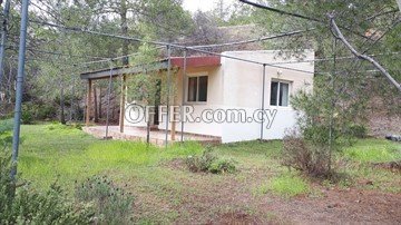 House  In A Large Piece Of Land 6355 Sq.m. In Agios Epifanios Oreinis, - 7