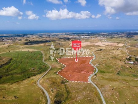 Agricultural Land For Sale in Anarita, Paphos - DP3144 - 1