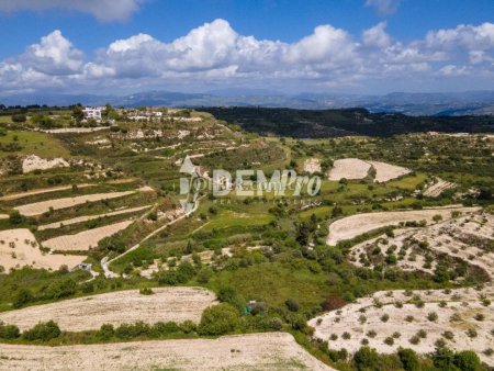Residential Land  For Sale in Tsada, Paphos - DP3156 - 8