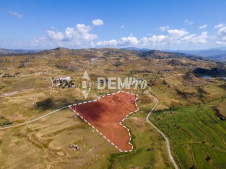 Agricultural Land For Sale in Anarita, Paphos - DP3144 - 7