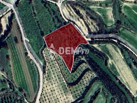 Residential Land  For Sale in Tsada, Paphos - DP3156 - 4