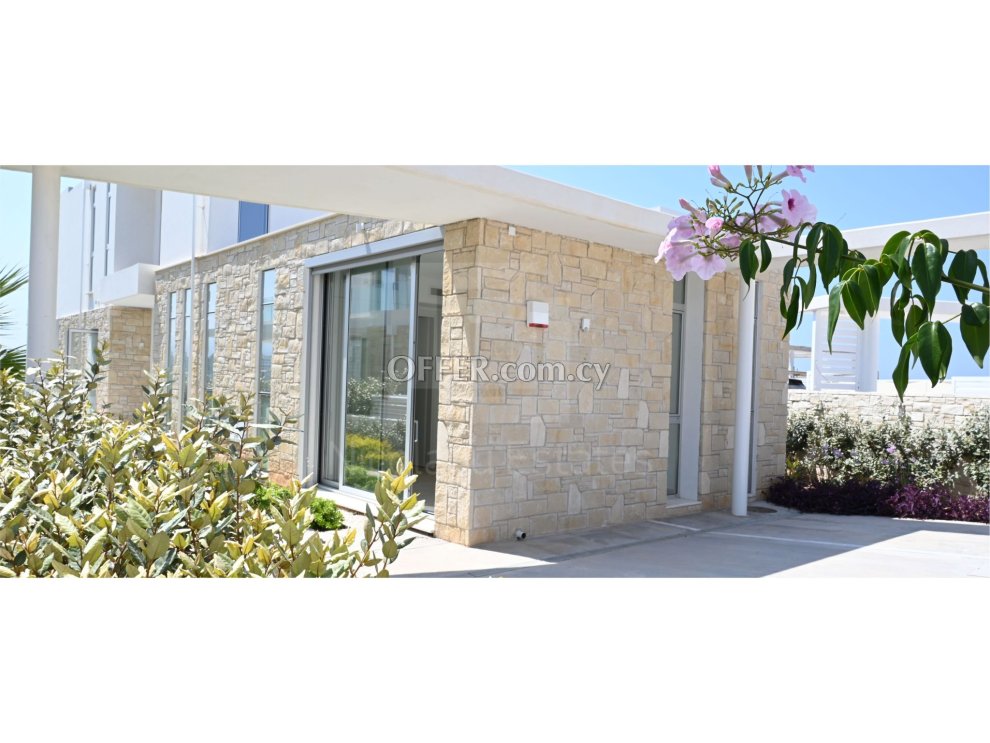 Contemporary Seafront Villa in Paphos Coral Bay - 3