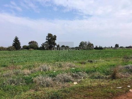 Agricultural fields in Frenaros