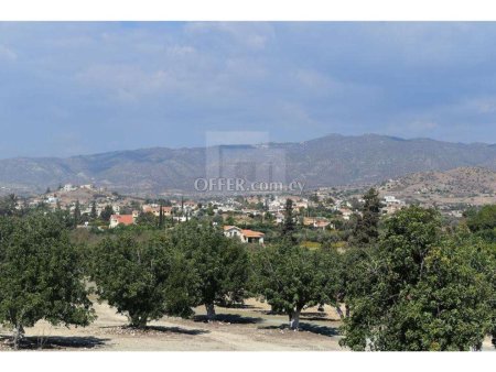 Large residential land in Pyrgos village