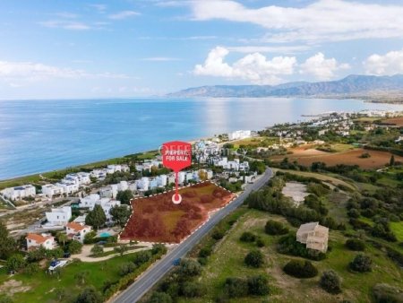 Field for Sale in Neo Chorio, Paphos