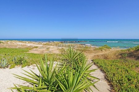 Detached Villa Ayia Thekla - 21