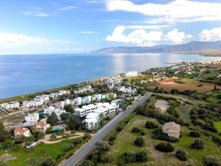 Field for Sale in Neo Chorio, Paphos - 11