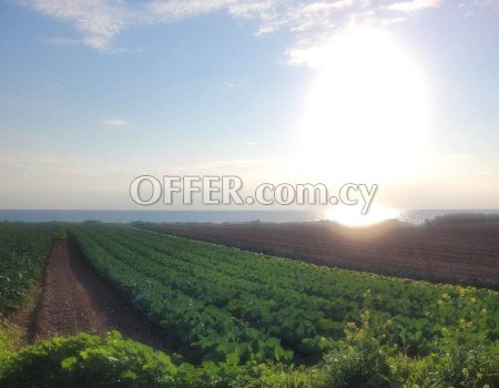 FOR RENT LAND IN PAPHOS