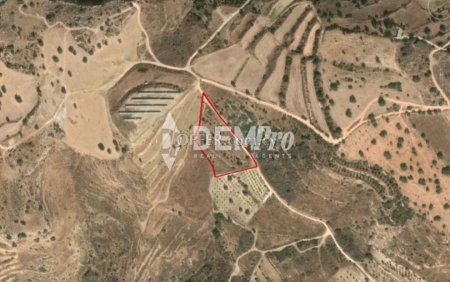 Agricultural Land For Sale in Tala, Paphos - DP3057