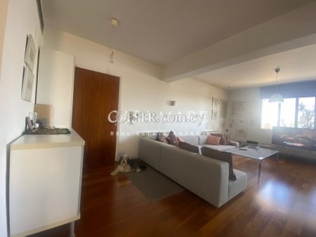 2 bedroom penthouse apartment with roof-garden  - 6