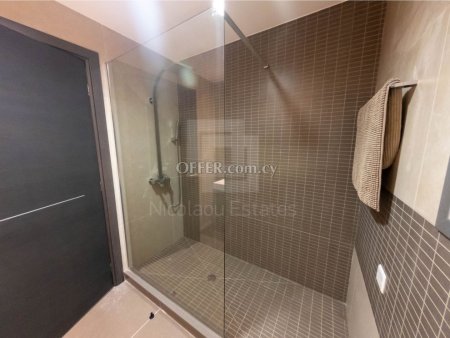 Amazing Penthouse with private pool Potamos Germasogia Limassol Cyprus - 4