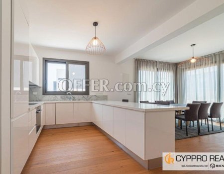 1 Bedroom Penthouse in Polemidia - 2