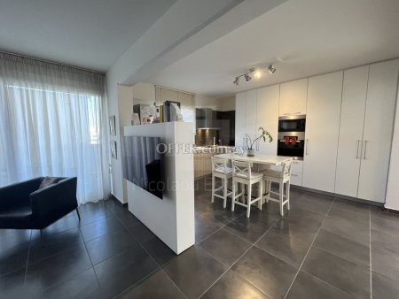 Two Bedroom Apartment in Strovolos Stavros - 9