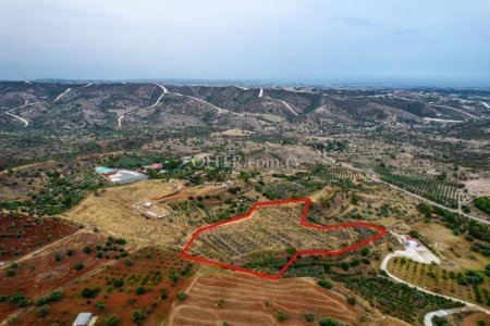 Agricultural field in Anglisides Larnaca