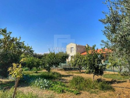 Unique Mediterranean villa in 3000m2 of green land only 2 minutes from the beach