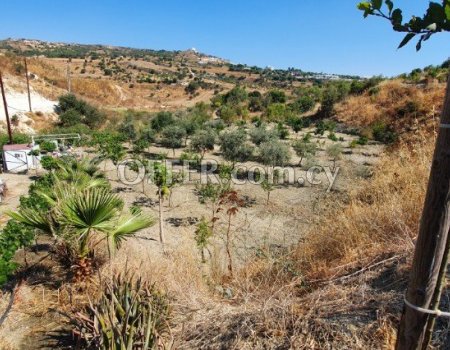 REF: 003 Land for sale in Armou Village of Paphos district. (photo 0)