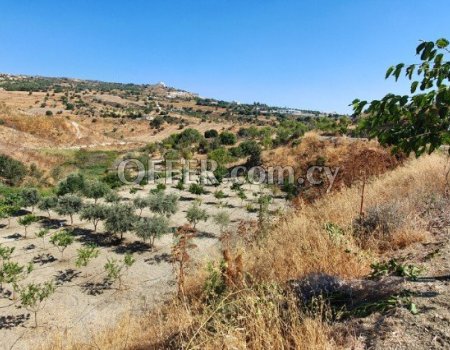 REF: 003 Land for sale in Armou Village of Paphos district. (photo 2)