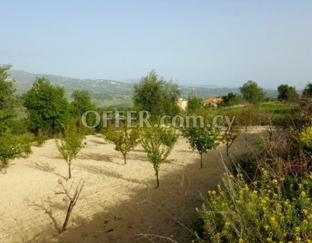 REF: 007 Land for sale - Paphos District.
