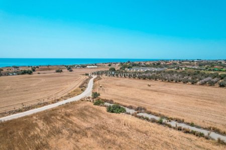 Field for Sale in Maroni, Larnaca - 3