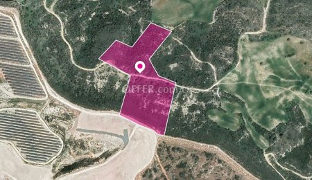 Special protection field in Choirokoitia Larnaca - 3