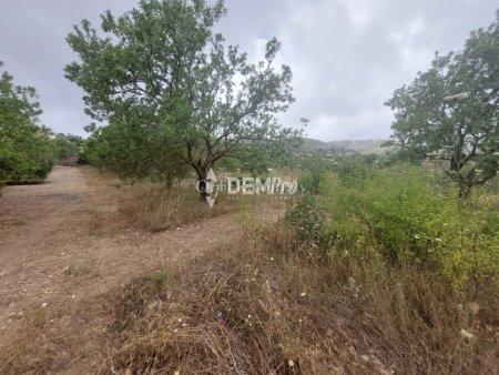 Agricultural Land For Sale in Armou, Paphos - DP3482 - 6