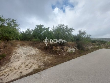 Agricultural Land For Sale in Armou, Paphos - DP3482 - 5